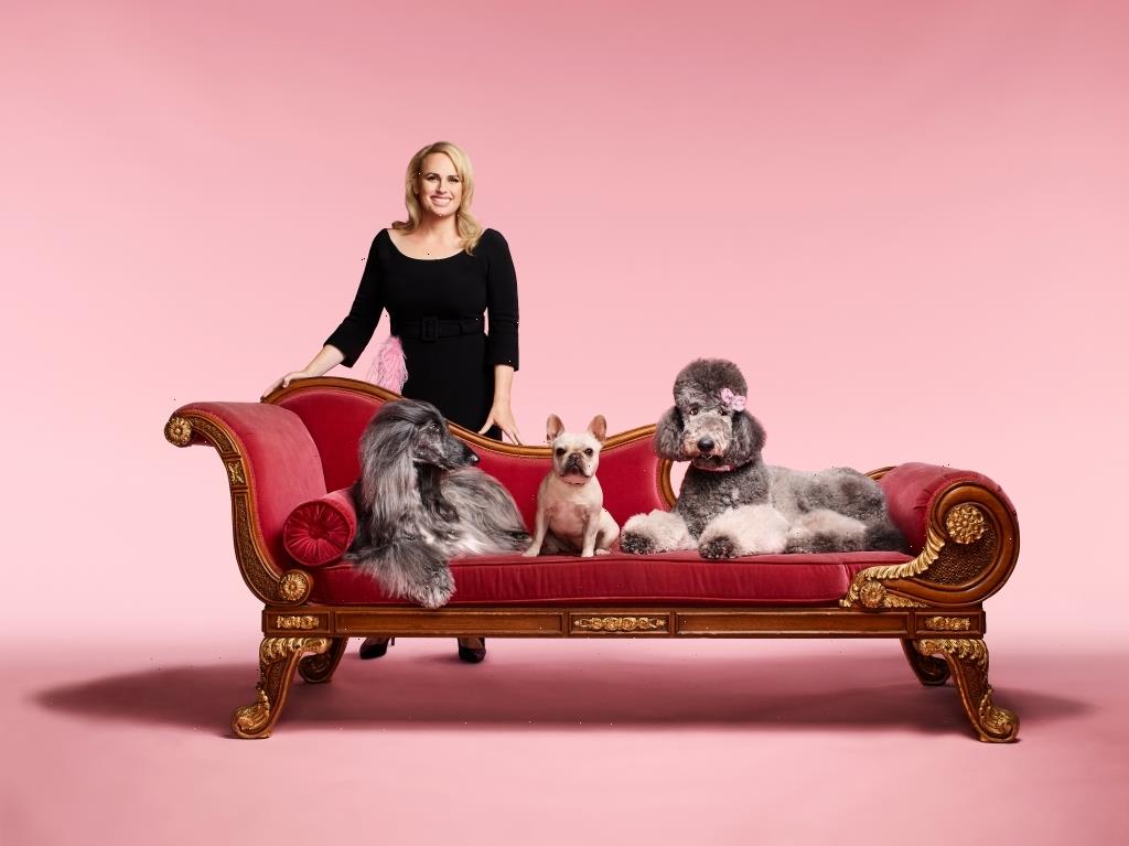 Rebel Wilson’s ‘Pooch Perfect’ Canceled At ABC As Network